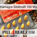 Kamagra Sildénafil 100 Mg new01
